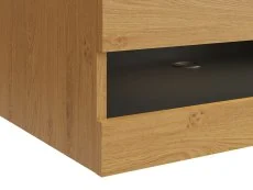 GFW GFW Leon 120cm Oak and Anthracite TV Cabinet With LED Lighting