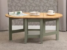 Seconique Seconique Santos Green and Pine Drop Leaf Coffee Table